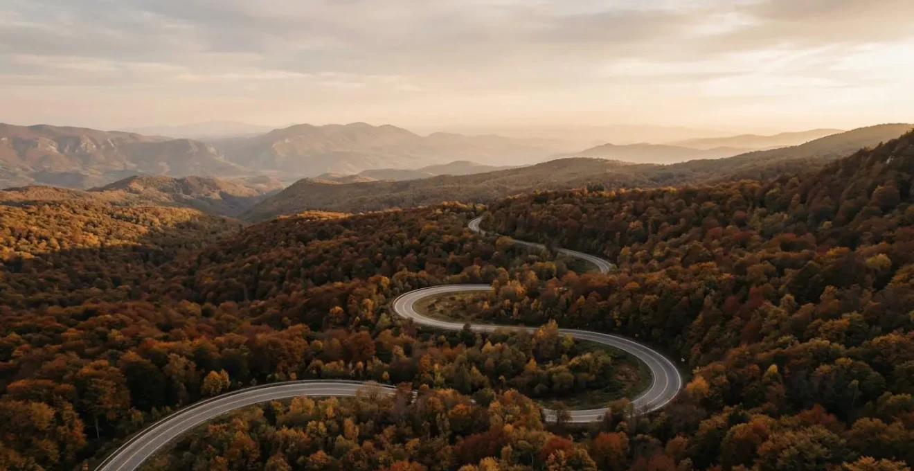 Vue aérienne minimaliste d'une route sinueuse symbolisant le parcours de réhabilitation du conducteur.